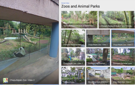 Kom i zoologisk have med Street View 1 panda