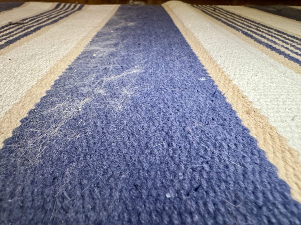 miele rug test