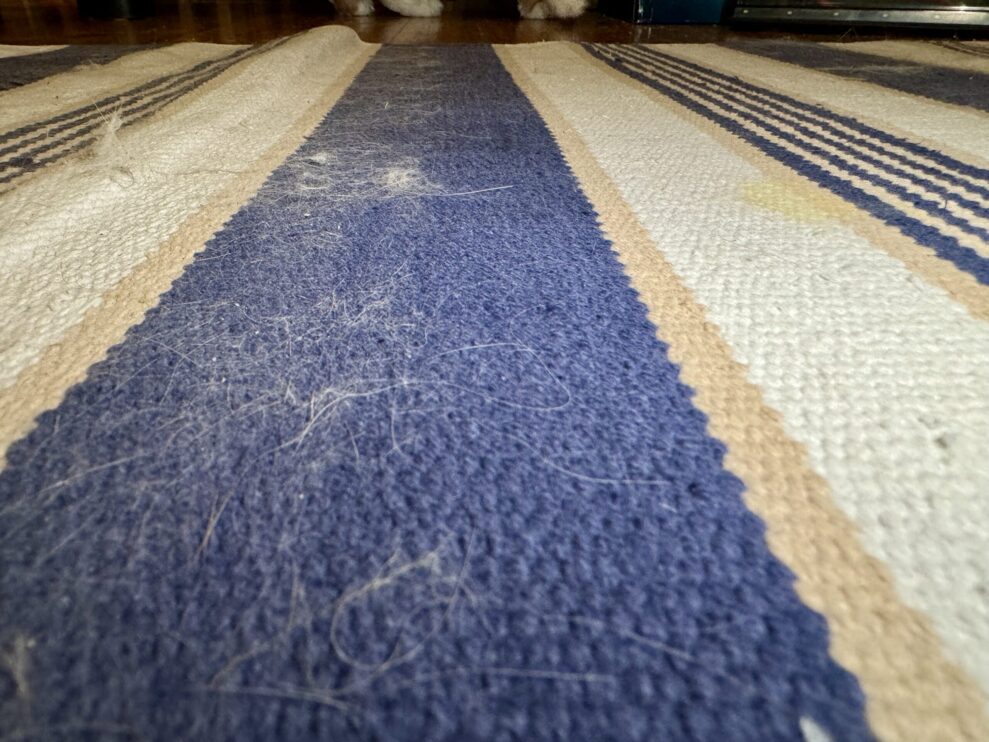 samsung rug test