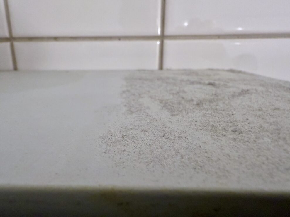 bosch prohygienic aqua dust