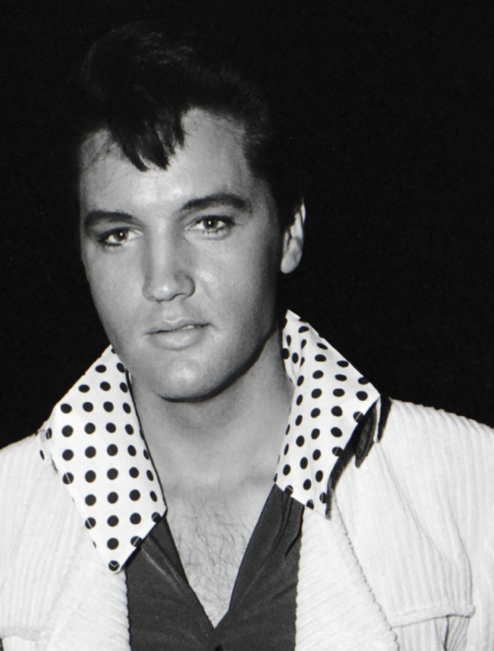 Return of the King - The Fall and Rise of Elvis Presley_1 (11)