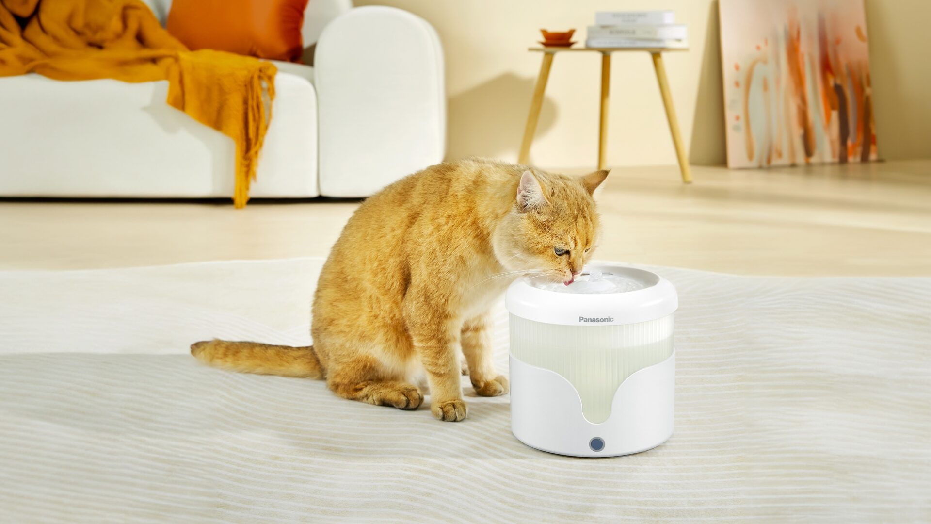 Panasonic Pet Drinking Fountain CP-JNW01-W