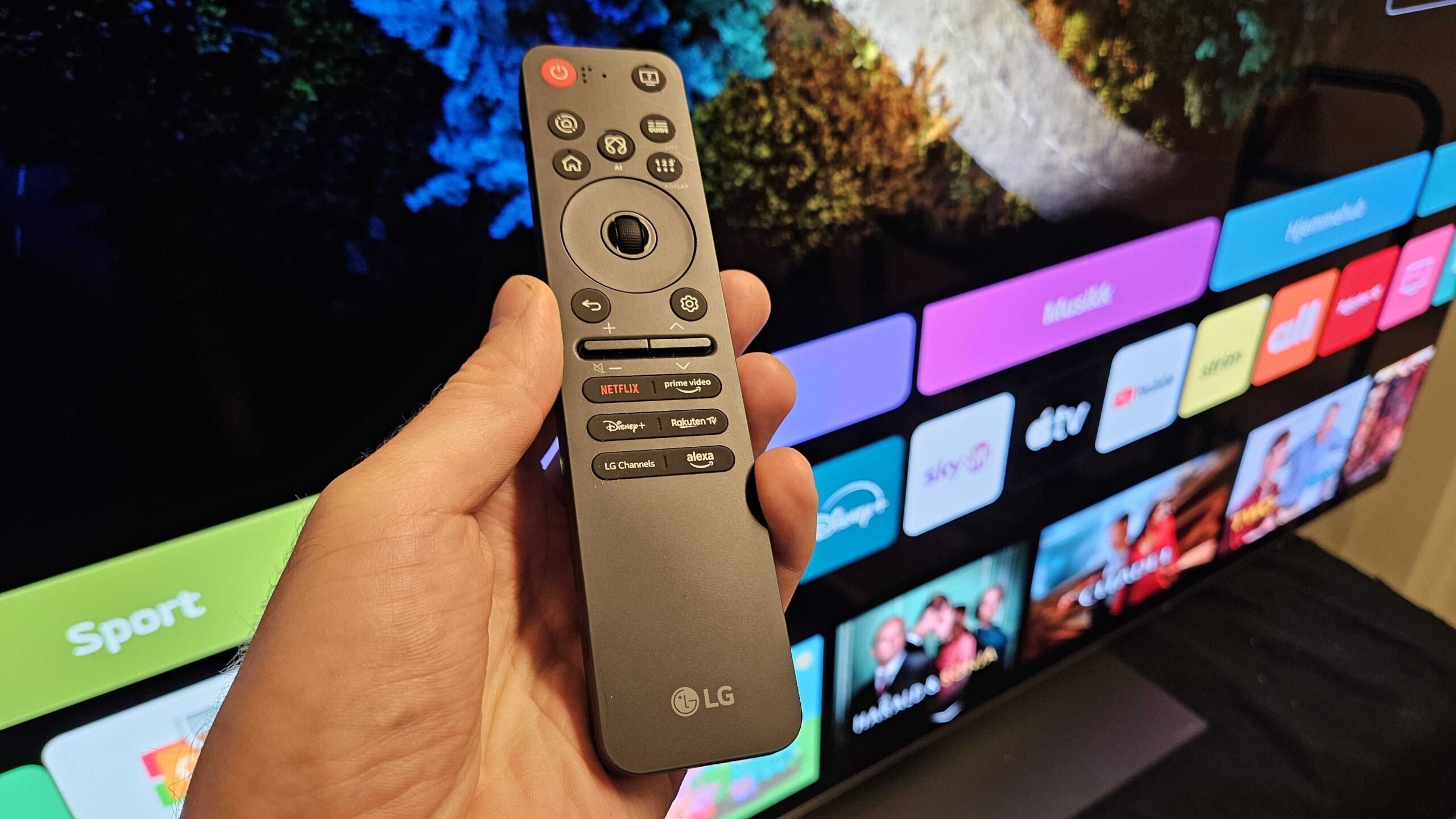 LG 2025 remote scaled