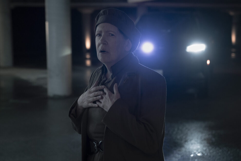 ANN DOWD