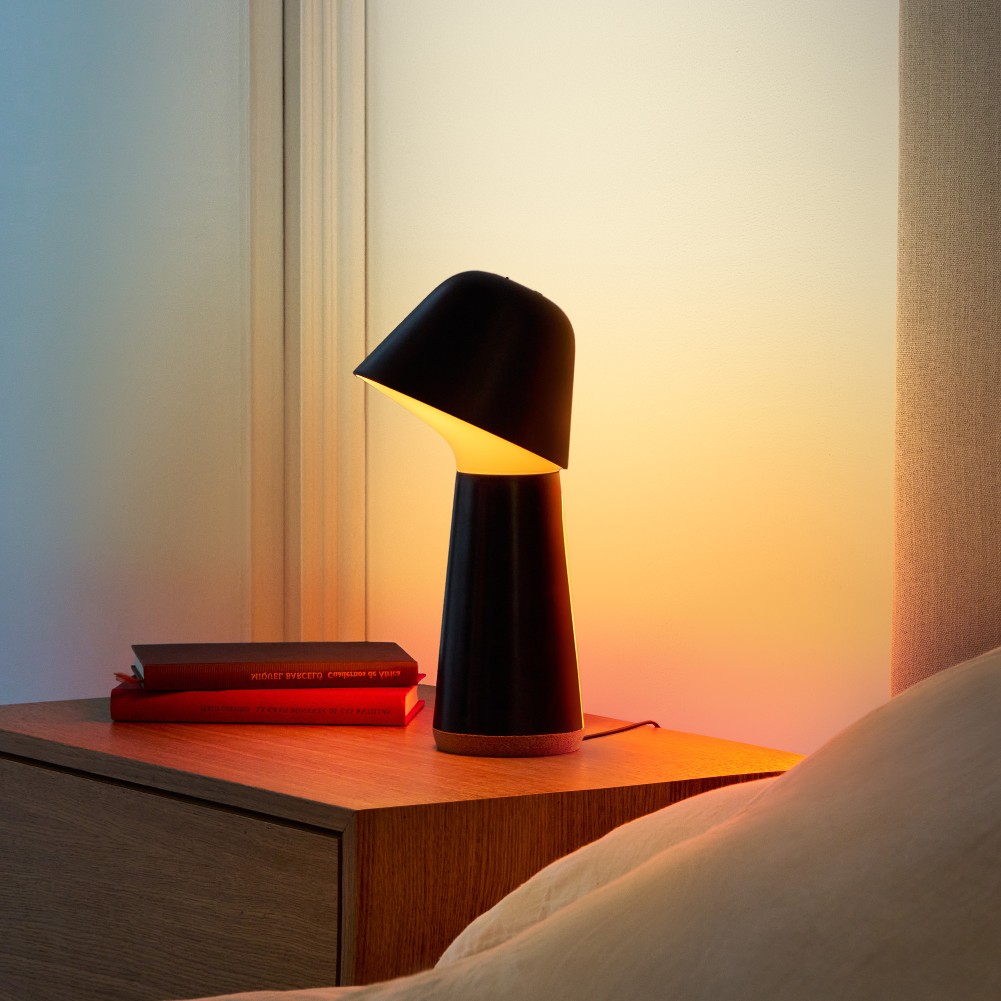 Philips Hue Twilight 14